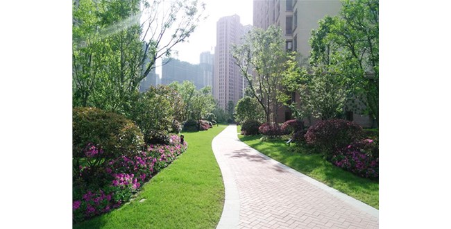 云南景观绿化能否改善城市居民的生活质量？